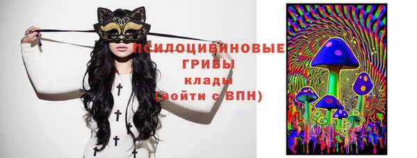 первитин Нея