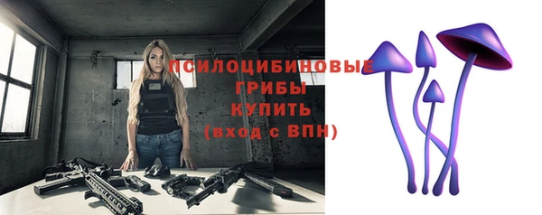 первитин Нея