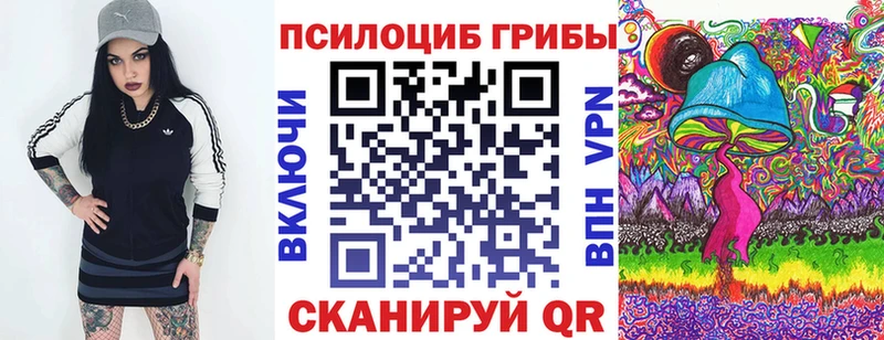 Купить закладки Гвардейск Псилоцибиновые грибы Psilocybine cubensis